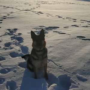 Meet your Posher, Cameron